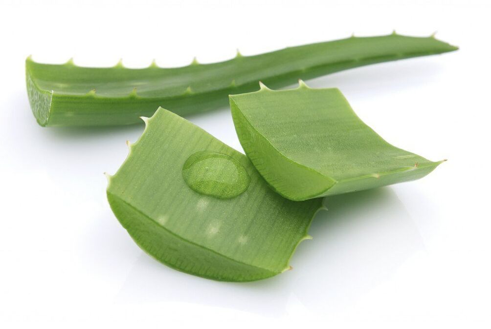 aloe per il trattamento dell'osteocondrosi toracica